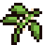 Laurel