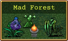 Mad Forest