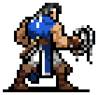 Richter Belmont icon