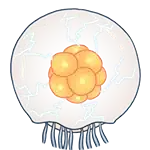 Uumuu Boss Guide icon