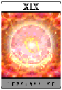 Heart of Fire