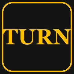 turnarchist icon